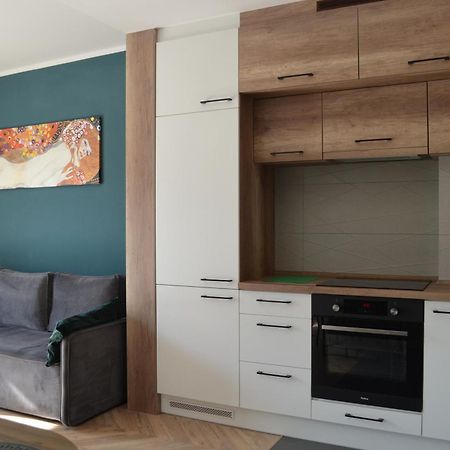 Apartment Sosnowiec City - Free Parking - Easy Check-In Zewnętrze zdjęcie